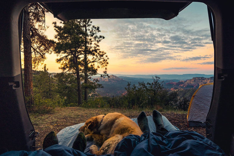 Turn Your Car, Truck or Van into a Cozy Camping Wonderland
