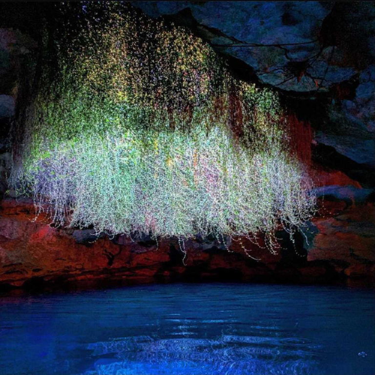 PSA* WARNING: The Georgia/Florida Aquifer catchment area has received an  unprecedented amount of rain this summer. The Devil's Den Prehistoric  Spring is, By Devil's Den Prehistoric Spring