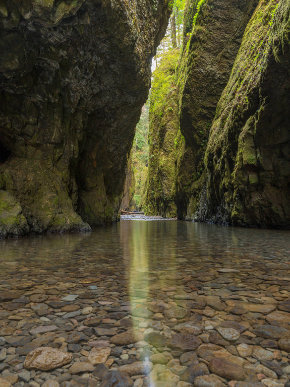 Oneonta Gorge | Columbia River Gorge | Bridal Veil, Oregon, USA
